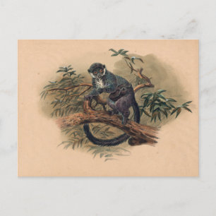 Der schwarzfrontale Lemur von Joseph Wolf Postkarte