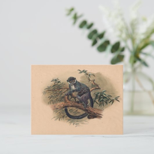 Der schwarzfrontale Lemur von Joseph Wolf Postkarte (Stehend Vorderseite)