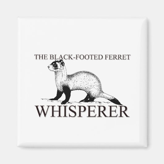 Der Schwarzfußspieß Magnet (Vorne)