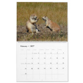 Der schwarzschwanzige Präriehund Kalender (Feb 2027)