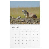 Der schwarzschwanzige Präriehund Kalender (Mär 2027)