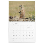 Der schwarzschwanzige Präriehund Kalender (Jan 2027)