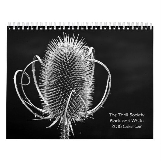 Der Schwarzweiss-Kalender der Kalender (Titelbild)