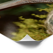 Der schweigende Minstrel des Waldes Poster (Ecke)