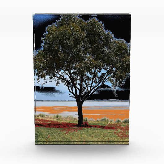 Der See Beeac Solo Tree Akrylic Block (Vorderseite)