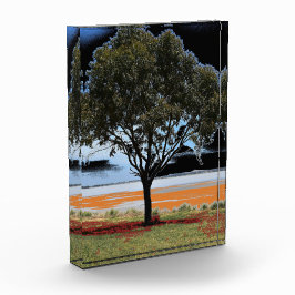 Der See Beeac Solo Tree Akrylic Block