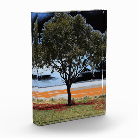 Der See Beeac Solo Tree Akrylic Block (Links)