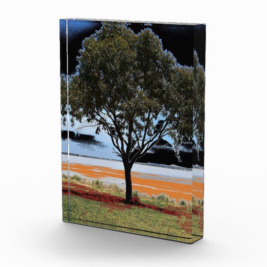 Der See Beeac Solo Tree Akrylic Block (Rechts)