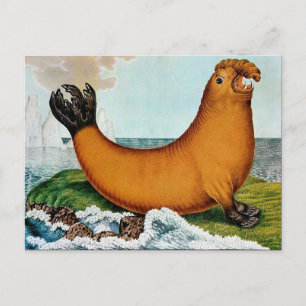 Der See-Elefant oder Der Walross (1879) Postkarte