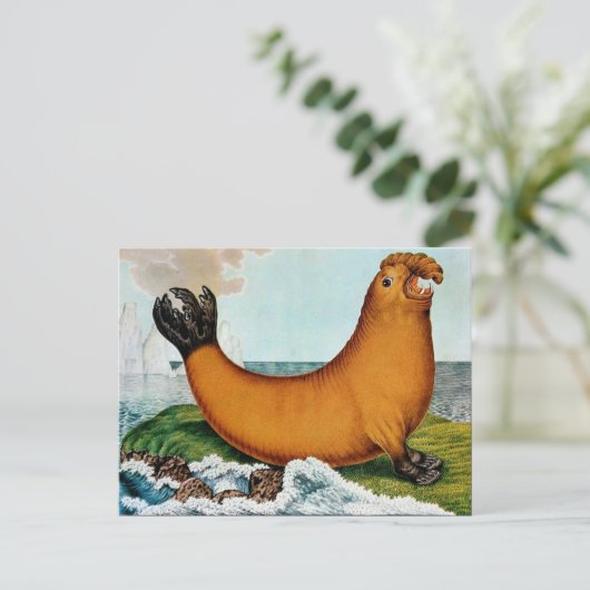 Der See-Elefant oder der Walrus (1879) Postkarte (Stehend Vorderseite)