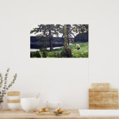 Der See Poster (Küche)