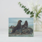 Der Seebär von Joseph Wolf Postkarte (Stehend Vorderseite)
