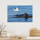 Der Seelöwe und das große weiße Egret Poster (Küche)