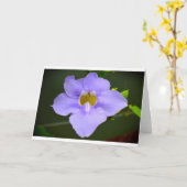 Der Segen der Natur, Karte (Gelbe Blume)