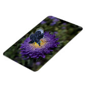 Der seltene blaue Bugphant Magnet (Linke Seite)