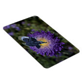 Der seltene blaue Bugphant Magnet (Rechte Seite)