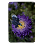 Der seltene blaue Bugphant Magnet (Vertikal)