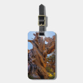 Der Sentinelbaum Gepäckanhänger (Vorderseite vertikal)