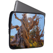 Der Sentinelbaum Laptopschutzhülle (Vorne Rechts)