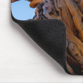 Der Sentinelbaum Mousepad (Ecke)