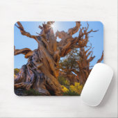 Der Sentinelbaum Mousepad (Mit Mouse)