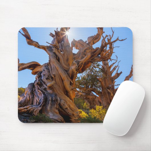 Der Sentinelbaum Mousepad (Mit Mouse)