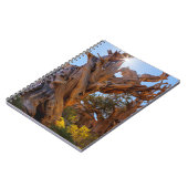 Der Sentinelbaum Notizblock (Linke Seite)