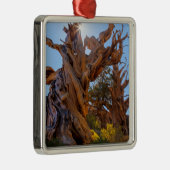 Der Sentinelbaum Ornament Aus Metall (Rechts)