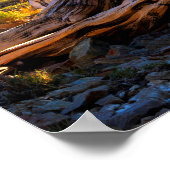 Der Sentinelbaum Poster (Ecke)