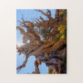 Der Sentinelbaum Puzzle (Vertikal)