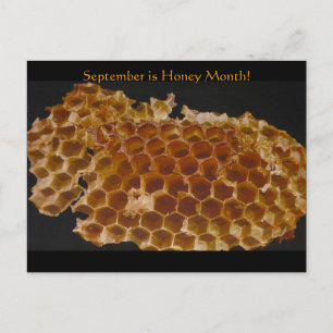 Der September ist Honey Month! Postkarte