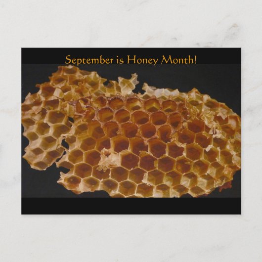 Der September ist Honey Month! Postkarte (Vorderseite)