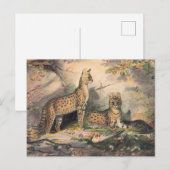 Der Serval von Joseph Wolf Postkarte (Vorne/Hinten)