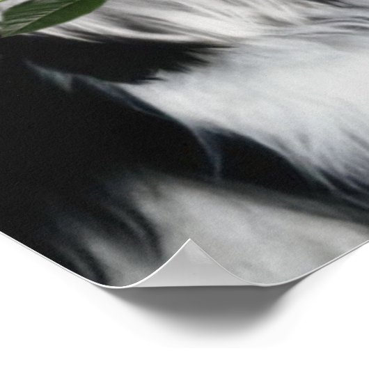 Der Shih Tzu Dog Poster (Ecke)