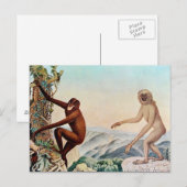 Der Siamang oder der Siamang Gibbon (1883) Postkarte (Vorne/Hinten)
