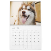 Der sibirische Husky Kalender (Mär 2026)