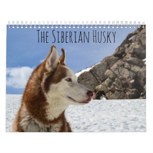 Der sibirische Husky Kalender (Titelbild)