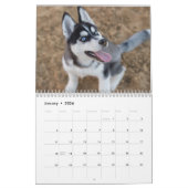 Der sibirische Husky Kalender (Jan 2026)