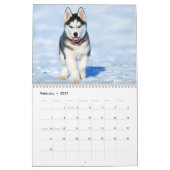 Der sibirische Husky Kalender (Feb 2027)