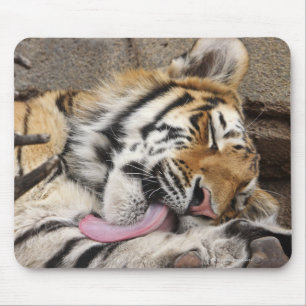 Der sibirischer Tiger Pantheratigris altaica Mousepad