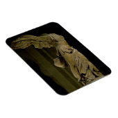 Der Sieg von Samothrace (Parischer Marmor) (siehe Magnet (Rechte Seite)