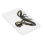 Der Silberdrache Magnet (Rechte Seite)