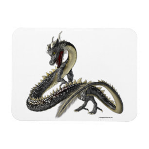 Der Silberdrache Magnet