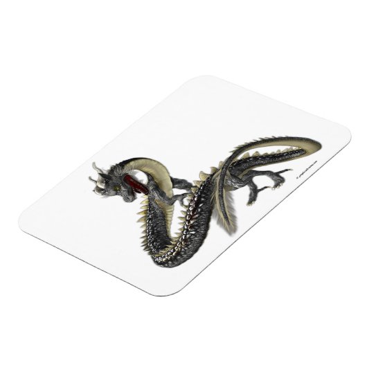 Der Silberdrache Magnet (Linke Seite)