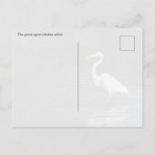 Der Silberreiher (Ardea alba) Vogel Postkarte (Rückseite)