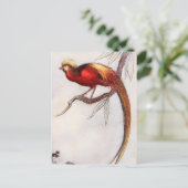 Der Singvogel des Himmels Postkarte (Stehend Vorderseite)