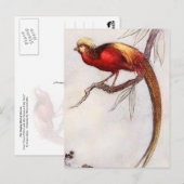 Der Singvogel des Himmels Postkarte (Vorne/Hinten)