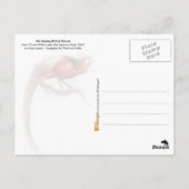 Der Singvogel des Himmels Postkarte (Rückseite)