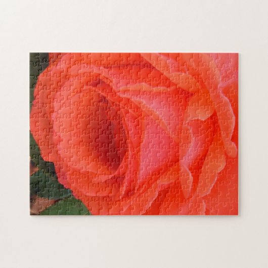 Der Sinn des Rose-Puzzles Puzzle (Horizontal)