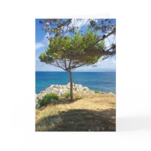 Der sizilianische Baum
